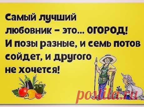 Про любовь в саду