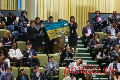 Один день из жизни Украинской делегации в ООН - © News Front