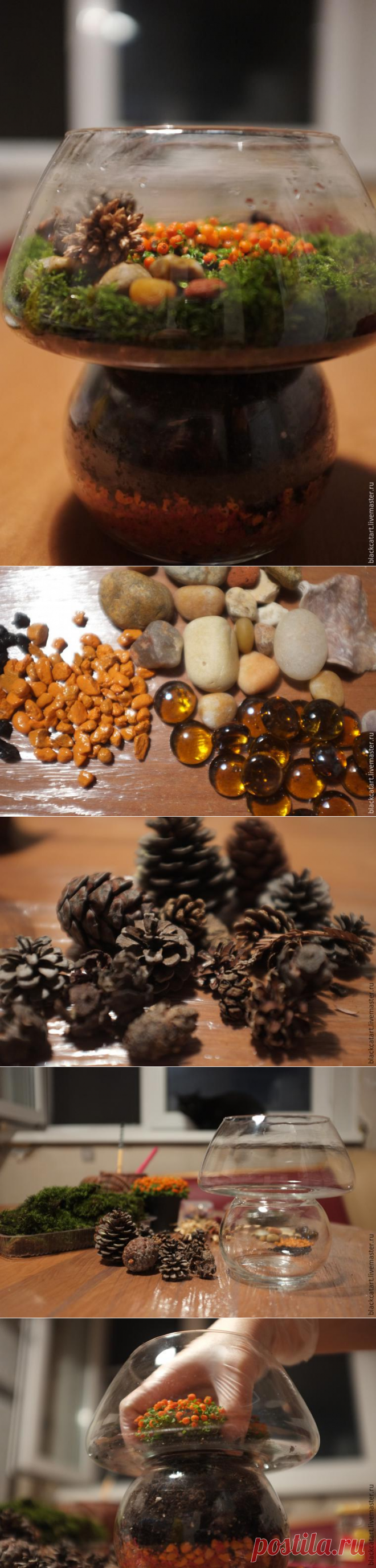 5 шагов по созданию флорариума. Мини-сад за стеклом своими руками - Ярмарка Мастеров - ручная работа, handmade