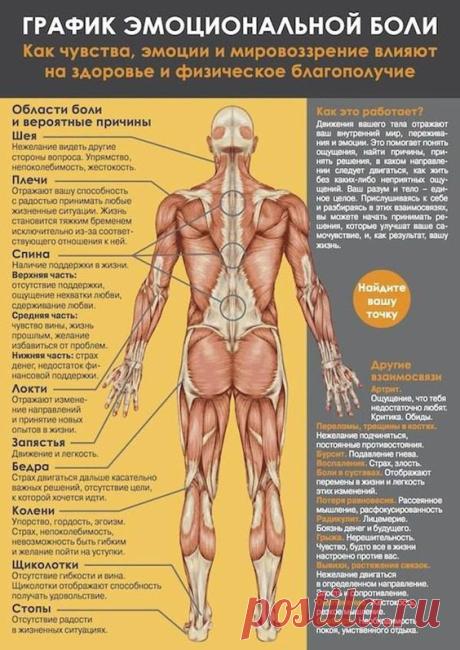 (227) Pinterest • Всемирный каталог идей