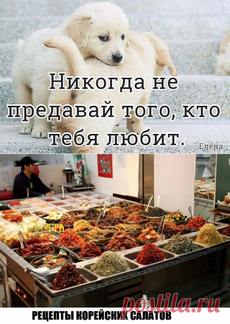 (19) Одноклассники
