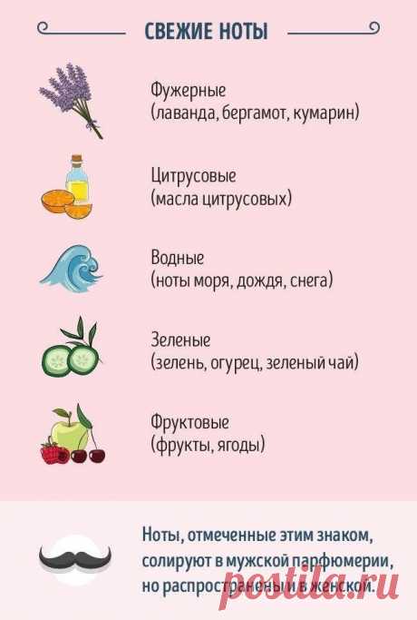 Руководство для тех, кто хочет разбираться в парфюме (9 картинок) » RadioNetPlus.ru развлекательный портал