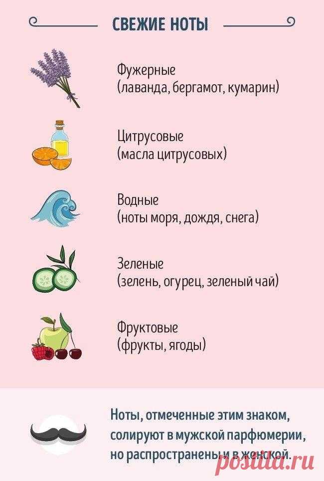 Руководство для тех, кто хочет разбираться в парфюме (9 картинок) » RadioNetPlus.ru развлекательный портал