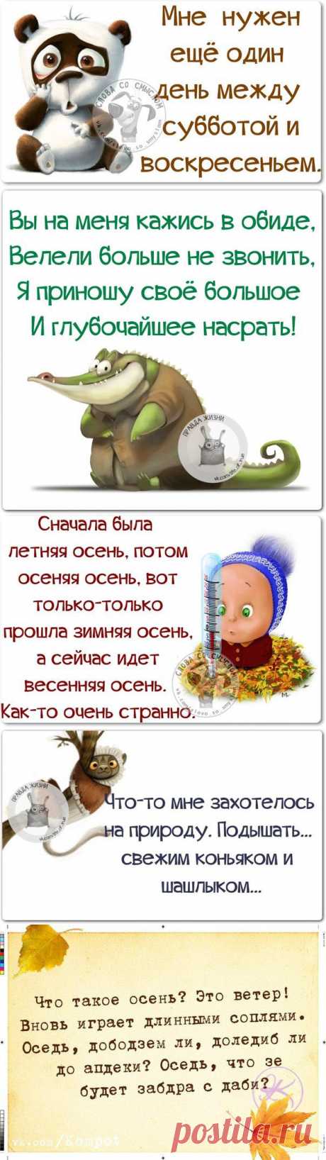 Смешные фразки для хорошего настроения :)