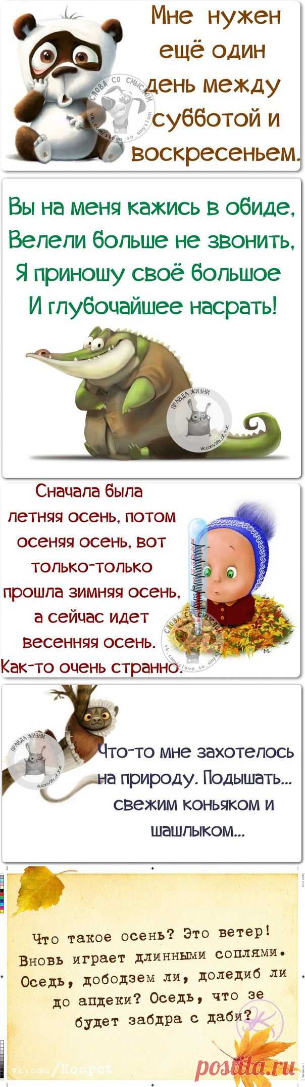 Смешные фразки для хорошего настроения :)