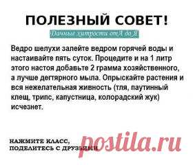(73) Одноклассники