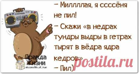 Прикольные фразочки в картинках)))