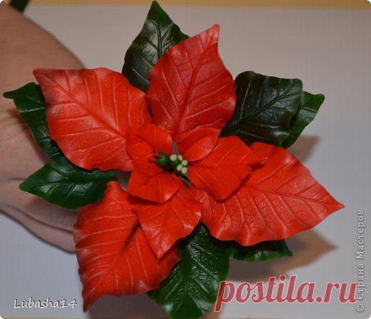 РОЖДЕСТВЕНСКАЯ ЗВЕЗДА ПУАНСЕТТИЯ ИЗ ХОЛОДНОГО ФАРФОРА. МАСТЕР-КЛАСС