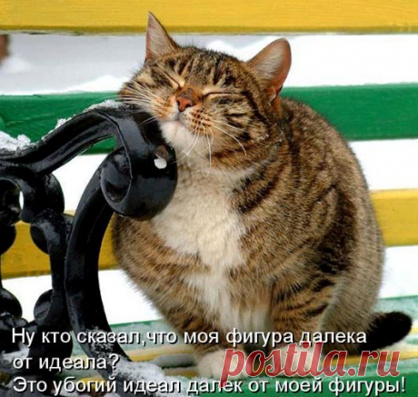Ну, мур-ррр.