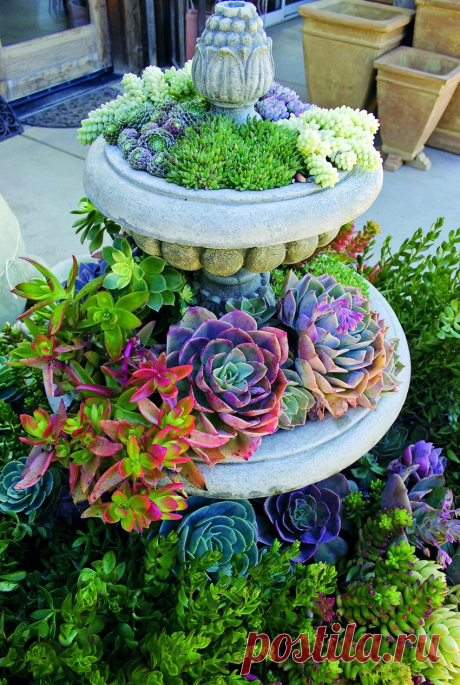 Дизайн цветника для украшения Вашего двора