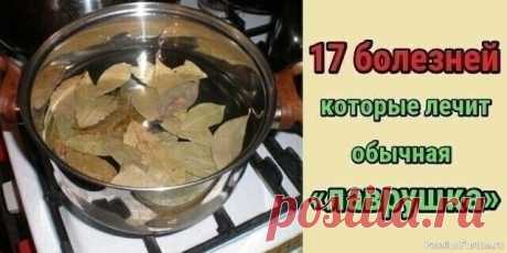 17 болезней, которые лечит лавровый лист Лавровый лист &mdash; замечательная специя, которая обладает потенциалом настоящей лекарственной травы. Пользуйтесь, приведенными в статье рецептами во благо своего здоровья, ведь они ничем не уступают дорогим и имеющим побочные эффекты медикаментам.Состав лаврового листаЕсли взглянуть на...