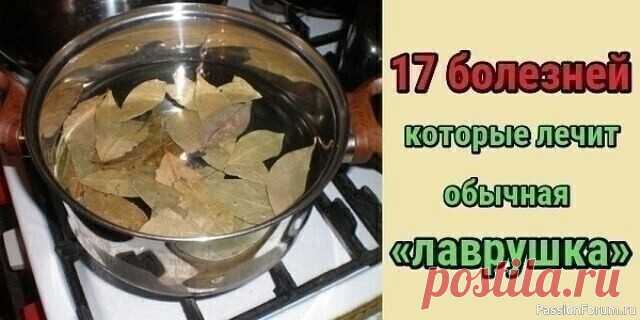 17 болезней, которые лечит лавровый лист Лавровый лист — замечательная специя, которая обладает потенциалом настоящей лекарственной травы. Пользуйтесь, приведенными в статье рецептами во благо своего здоровья, ведь они ничем не уступают дорогим и имеющим побочные эффекты медикаментам.Состав лаврового листаЕсли взглянуть на...