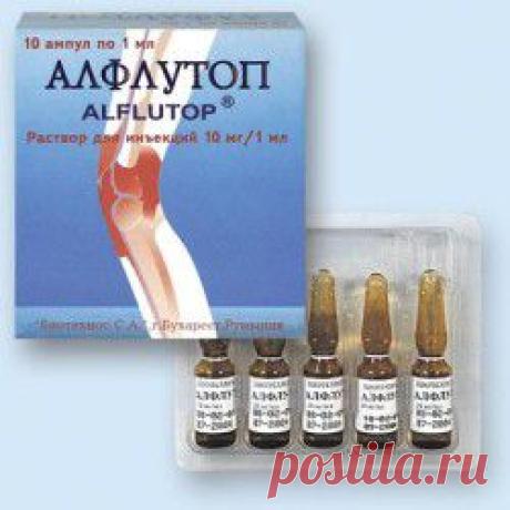 Аналоги хондропротектора Алфлутоп: какие лекарства лучше использовать при лечении болезней суставов