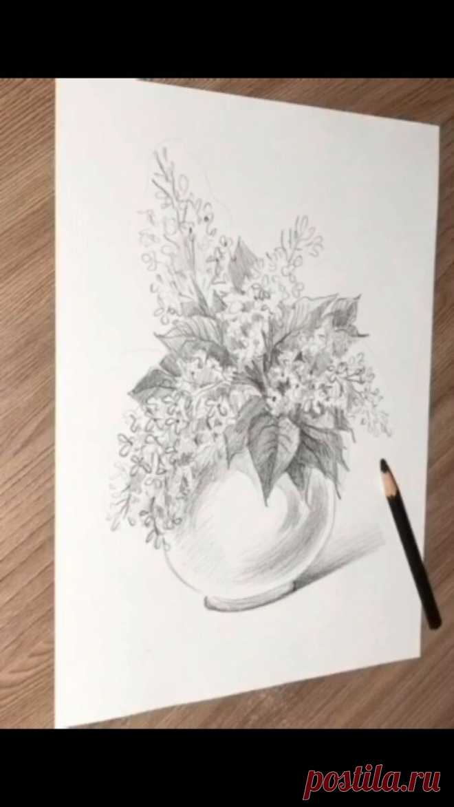 Видео урок: Как нарисовать сирень простым карандашом