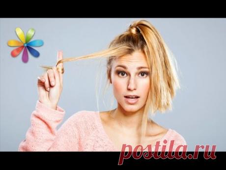 Домашняя косметология: флюид для волос – Все буде добре. Выпуск 892 от 06.10.16