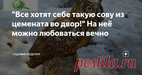 "Все хотят себе такую сову из цемената во двор!" На неё можно любоваться вечно
