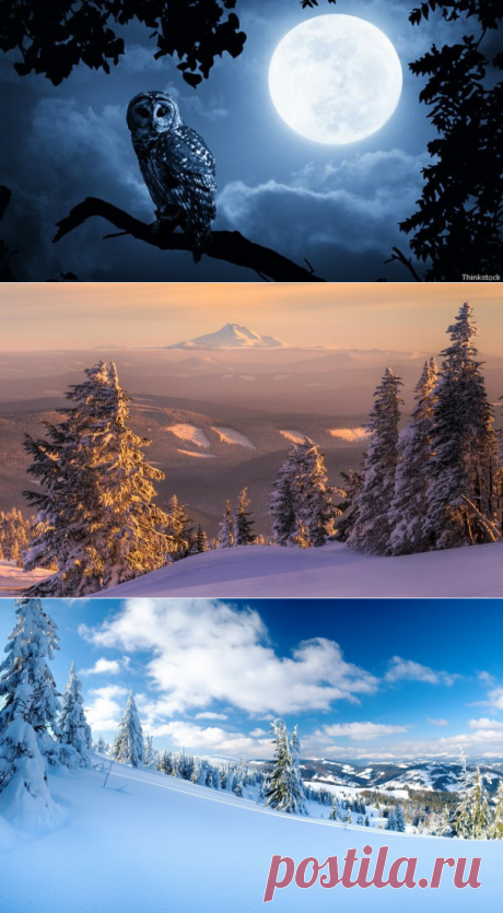 Лунная ритмика - Марина Крымова