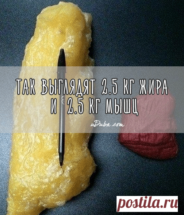Правила, которых стоит придерживаться всем, кто решил похудеть | uDuba.com