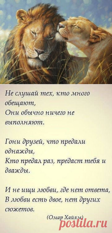 (89) Одноклассники