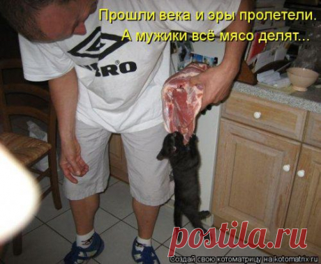 (+1) тема - Новая котоматрица | Четвероногий юмор