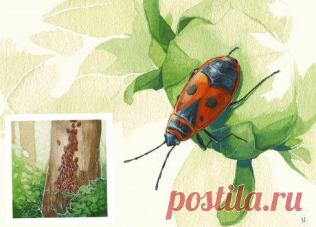 Однажды я чуть не уселся на такое полчище солдатиков и, должен признаться, в страхе отскочил!