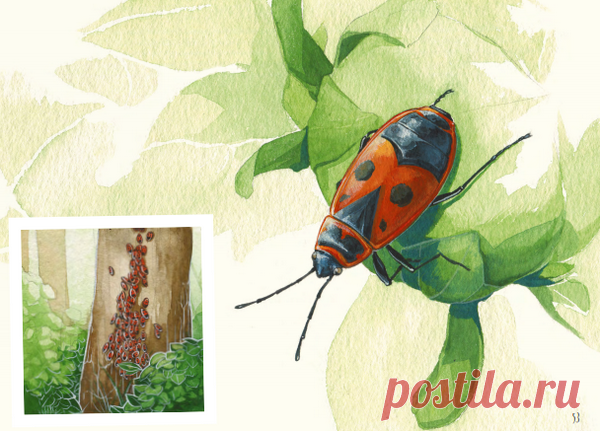 Однажды я чуть не уселся на такое полчище солдатиков и, должен признаться, в страхе отскочил!