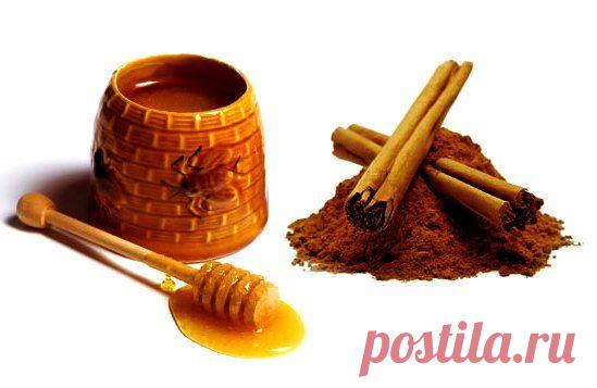 CINAMONAS IR MEDUS - FARMACIJOS APIE TAI GARSIAI NEŠNEKA!