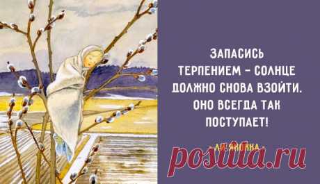 Одной фразой