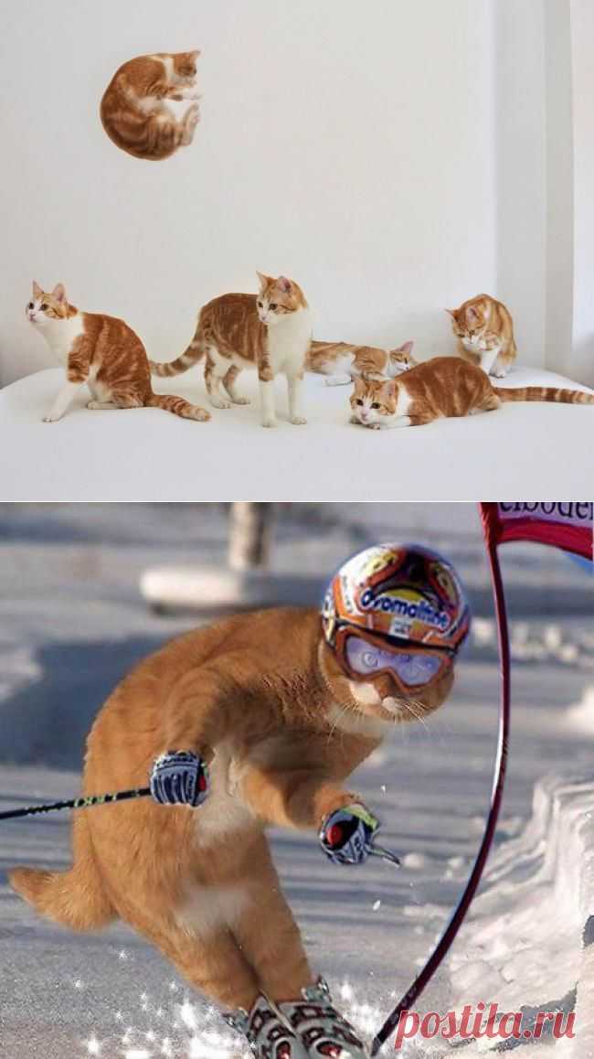 Олимпийский привет!