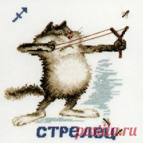 Знаки зодиака. Стрелец - кот.