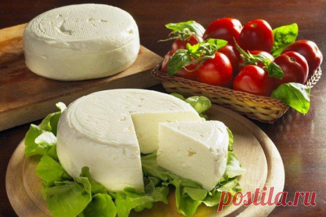 Сливочные и творожные сыры - виды, названия и фото Нежные сливочные и творожные сыры незаменимы для десертов, роллов, салатов или основных блюд. Они очень сильно отличаются от обычных мягких и плавленых сыров, поэтому заменить одно другим просто невозможно. Рассказываем о самых популярных видах!