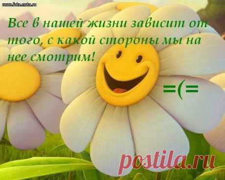 Яндекс.Фотки