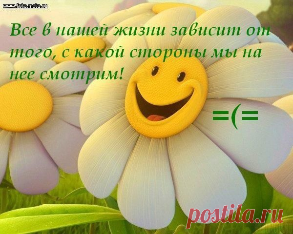 Яндекс.Фотки