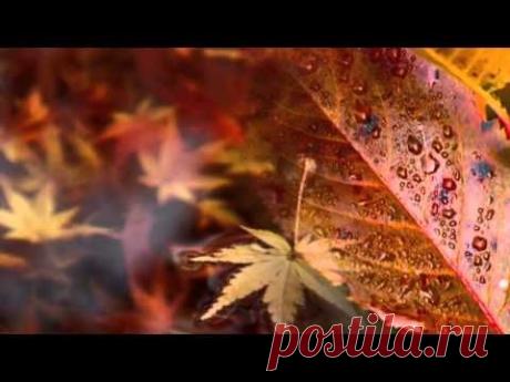 &quot; У моей осени в глазах слёзы...&quot;