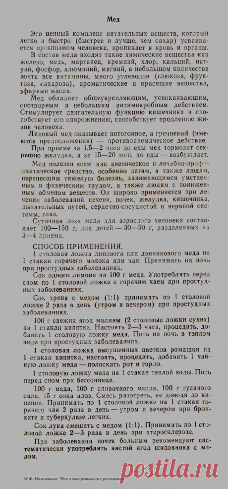 Мед - лечебные свойства