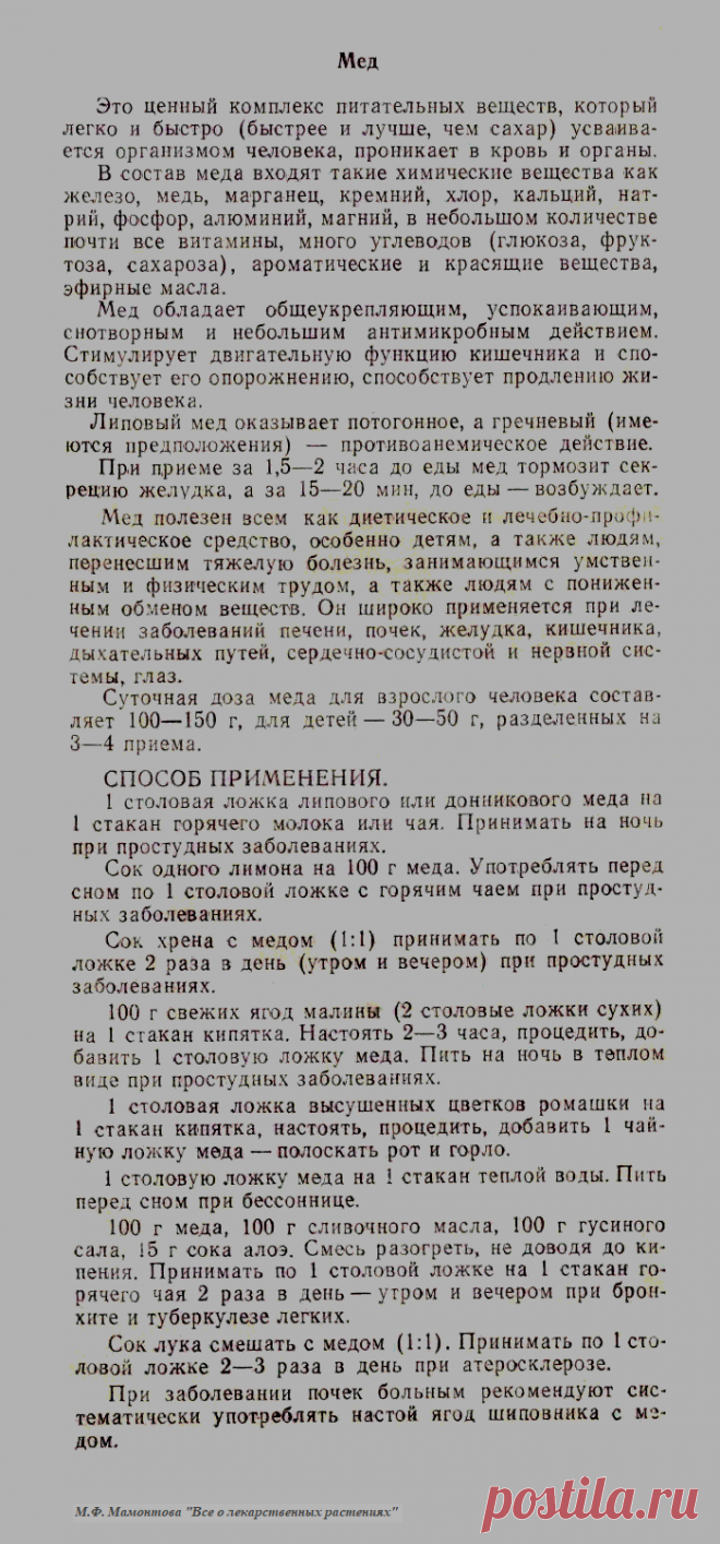 Мед - лечебные свойства