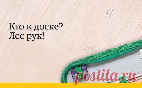 Фразы учителей — Интересные факты