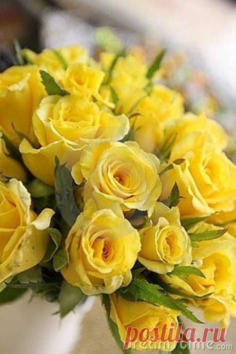 Солнечного субботнего утра 🌼🌻🌞