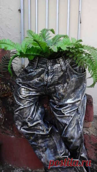Tokreen broek vir potplant - Hilma Nel