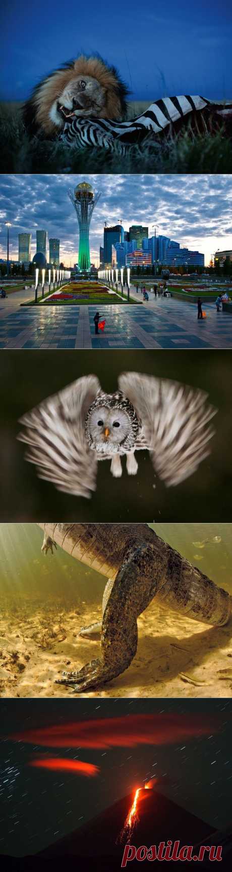 Лучшие фотографии за сентябрь от National Geographic Россия (2013) | В мире интересного