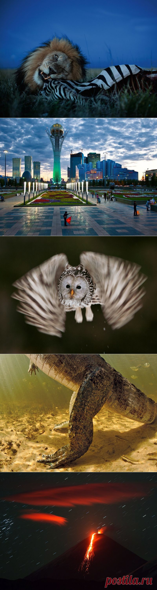 Лучшие фотографии за сентябрь от National Geographic Россия (2013) | В мире интересного