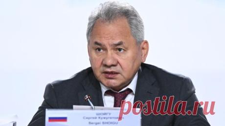 Шойгу призвал отслеживать идущие с Запада угрозы цветных революций