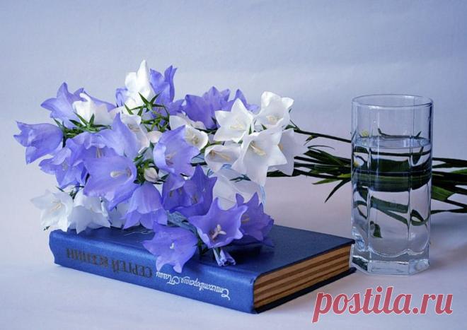 О женской интуиции и уверенности в себе.