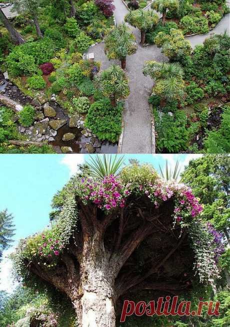 &quot;Деревья-клумбы&quot;
Ботанический сад Glacier Gardens на Аляске – место очень необычное. Туристам, приехавшим сюда на экскурсию, может показаться, что вокруг все перевернуто с ног на голову...