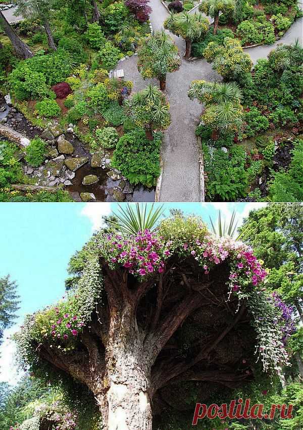 "Деревья-клумбы"
Ботанический сад Glacier Gardens на Аляске – место очень необычное. Туристам, приехавшим сюда на экскурсию, может показаться, что вокруг все перевернуто с ног на голову...