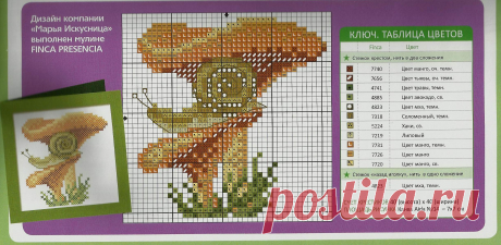 2441х1195