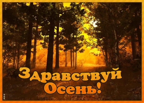 Картинка здравствуй осень
