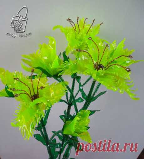 Дневник бабушка_Кирилла