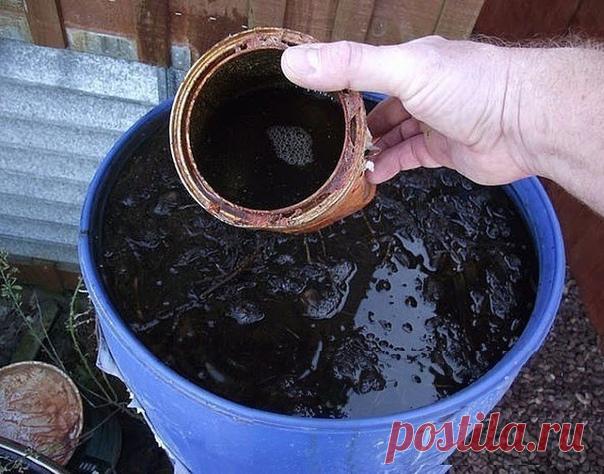 Рецепт удобрения, пользуюсь уже года четыре. Очень здорово!

Много лет назад в моде были японские бактерии, у нас это