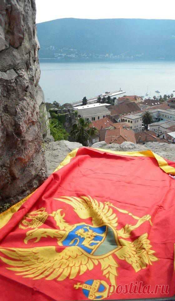 (7) Momir Matkovic